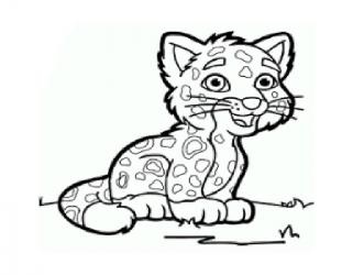 Leopard colorarea descarca si imprima