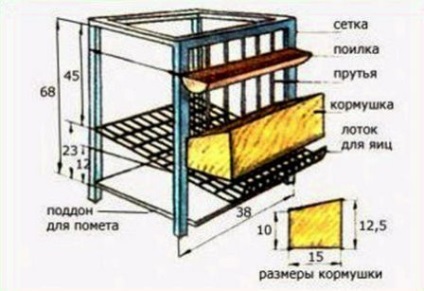 Cultivarea găinilor ouătoare la domiciliu pentru începători