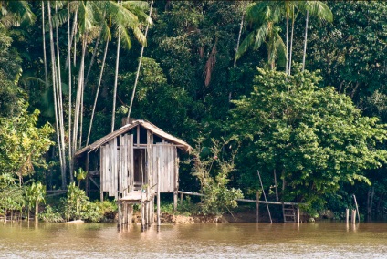 Amazon folyó - a hetedik csodája a természetnek