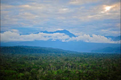 Amazon folyó - a hetedik csodája a természetnek