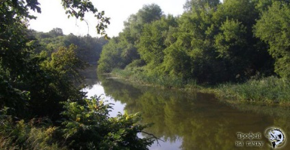 Pescuitul în zbor