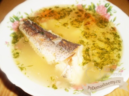 Supă de pește de merluciu - o rețetă apetisantă