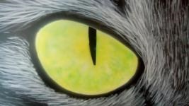 Rajzolj a macska szemét - léptetés - a fórum tagjainak aerography-leckék - airbrushing mindenki számára