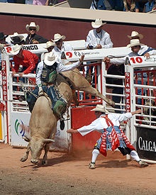 Rodeo a bika