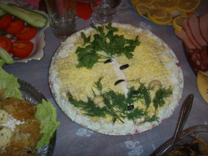 Salata - mesteacăn - cu file de pui - un clasic de neuitat