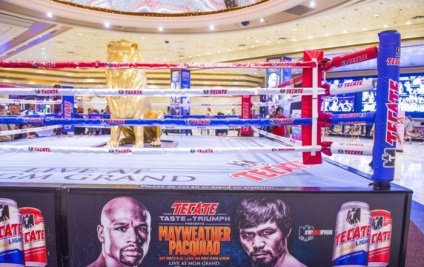 Cele mai scumpe achiziții ale boxerului Floyd Mayweather (12 fotografii) - Trinity