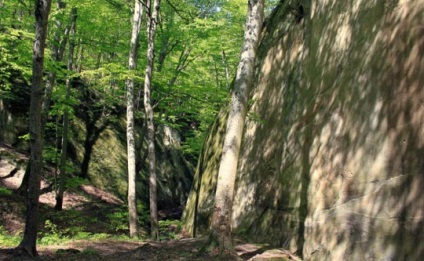 Descrierea și fotografia oglinzii rocilor