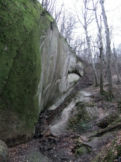 Descrierea și fotografia oglinzii rocilor