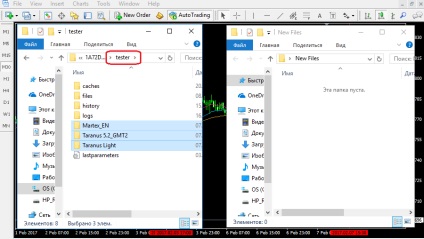 Crearea și utilizarea fișierelor setate în mt4
