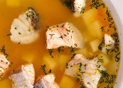 Supe din conserve de pește 5 rețete