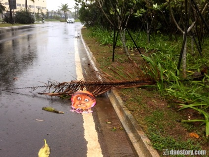 Typhoon kalmaegi pe pregătirea Hainan și câteva sfaturi, 道 daostory