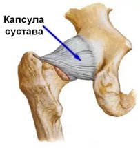 Anatomia articulației șoldului și tot ce trebuie să știți