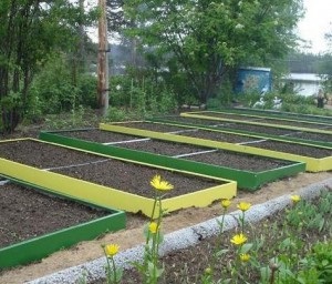 Теплі грядки для огірків, дачне царство