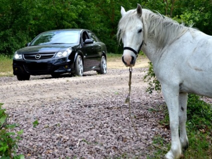 Test de conducere opel vectra c an