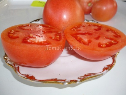 Tomato Volgograd roz