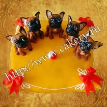 Torta kutya megrendelésre, sütemény kutyák formájában, rendelés sütemény kutya, kiskutya, torta táska formájában