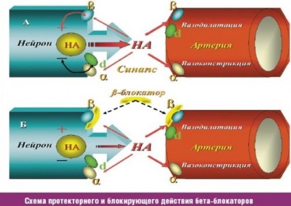 Тремор голови при шийному остеохондрозі симптоми і лікування