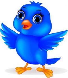 Twitter birdie pe site