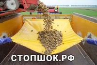 Ambalare usturoi și echipamente de ambalare pentru legume (ceapă, usturoi, cartofi) - mașini de tuns -
