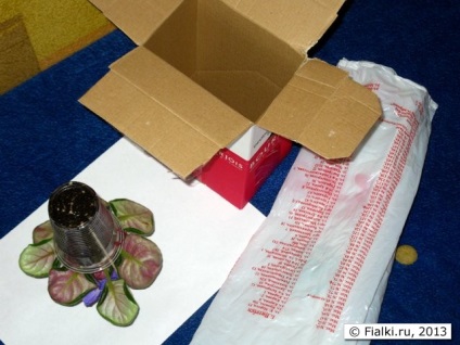 Ambalare de violete pentru trimitere prin poștă, violete (senpolia)