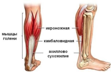 Exerciții pentru întinderea tendonului lui Ahile