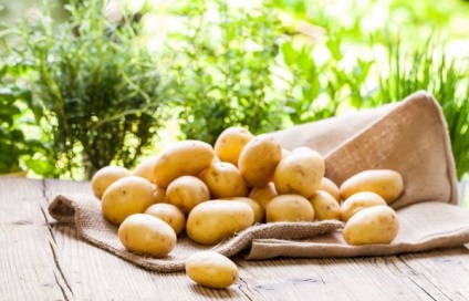 Cultivarea cartofilor în Primorye