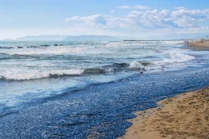 Hétvége Forte dei Marmi-ban - la tua italia