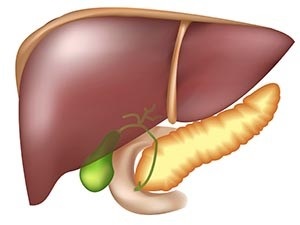 Efectul lunar asupra funcției hepatice și a cauzei durerii