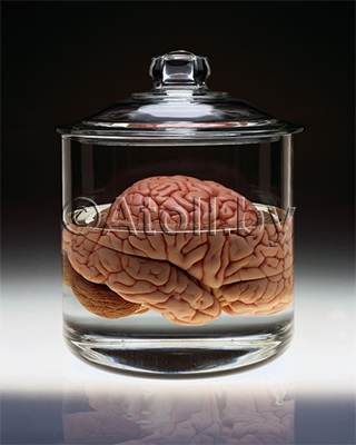 Efectul apei asupra creierului uman