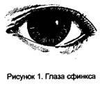 A szem személyének természete
