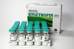 Hygetropin (hygetropin)