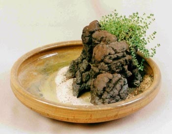 Mini-grădini japoneze