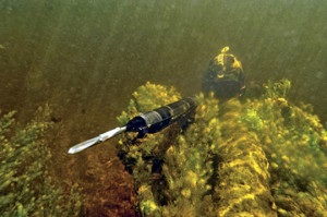 Deținerea respirației în vânătoarea subacvatică