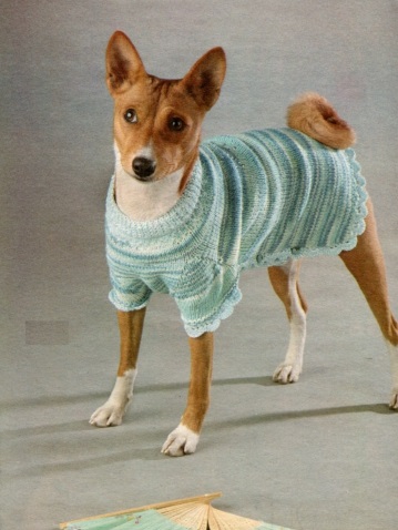 Vest pentru câini cu ace de tricotat