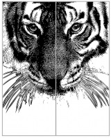 Animale în desenele Vector de pe oglindă