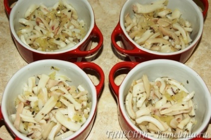 Julienne cu rețete de squid cu poze cum să gătești julienne cu rețetă pas cu pas carne de scrumieră
