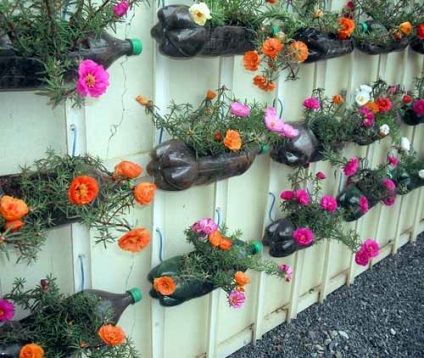 15 Idei pentru cabane verticale grădină de sticle de plastic