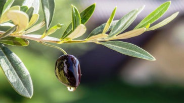 17 Csodálatos kisbabák a kisgyermekek szülei számára - hasznos tippek