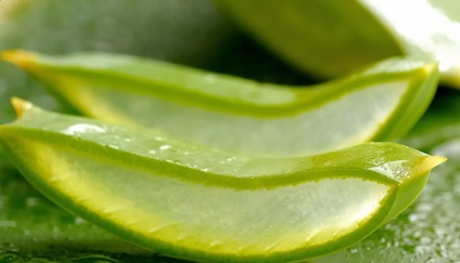 22 motive pentru a cumpăra Aloe Vera Gel - organicway