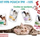 7 Основних показників здоров'я кішки - pet care kbr