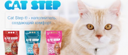 8 1 tökéletes kabát sampon kondicionáló (kiscicák és macskák számára) 236 ml, online pet shop zoogram