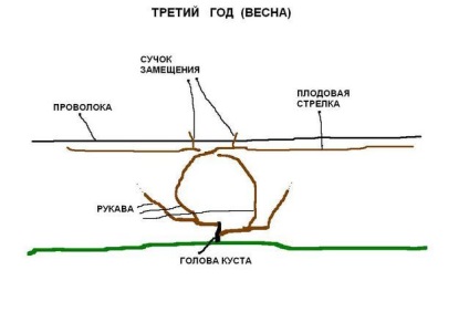 Алексей Бойко - специално място Puzenko Наталия lariasovny