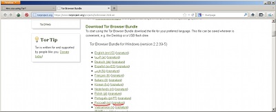 Browser browser anonim în browser