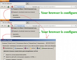 Browser browser anonim în browser