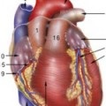 Clinica de insuficiență aortică, diagnostic - jurnal medical