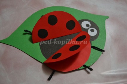 Aplicație Ladybug din hârtie colorată cu fotografie și video