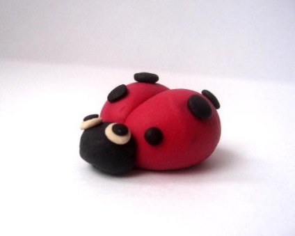 Aplicație Ladybug din hârtie colorată cu fotografie și video