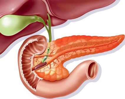 Ceaiul cu pancreas pancreatic pot bea monastic