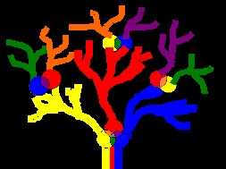Familiarizarea științei culorilor cu culorile de bază - activități iso