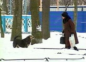 Дія людини при зустрічі з бродячими собаками, Сергачский район